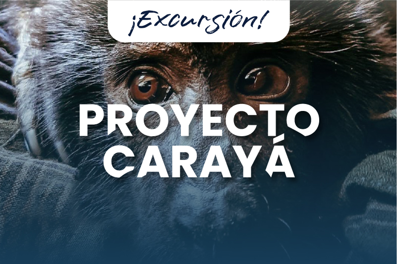 Proyecto Carayá